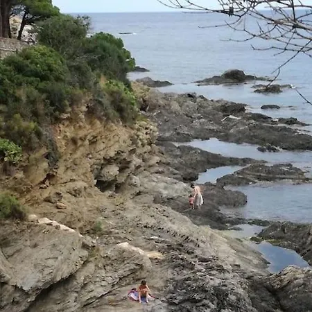 아파트 Avec Piscine Face A La Mer, 1ere Ligne Llança