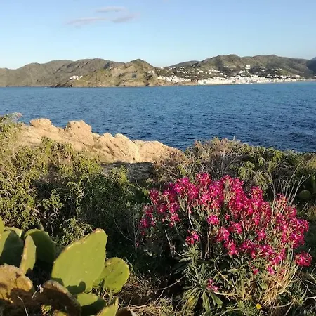 아파트 Avec Piscine Face A La Mer, 1ere Ligne